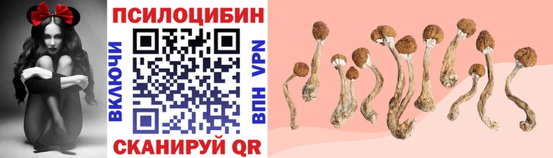 Псилоцибиновые грибы MAGIC MUSHROOMS  MEGA онион  Нижнеудинск 