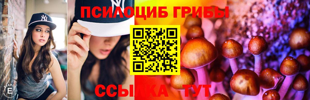 Галлюциногенные грибы мухоморы Нижнеудинск