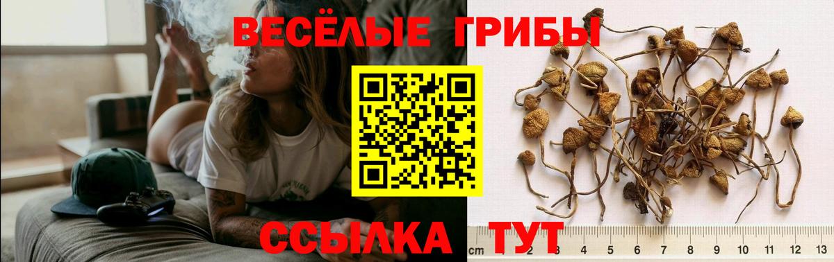 Галлюциногенные грибы Magic Shrooms  Нижнеудинск 