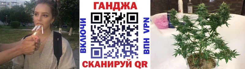 hydra ССЫЛКА  купить наркотики сайты  Нижнеудинск  Каннабис конопля 
